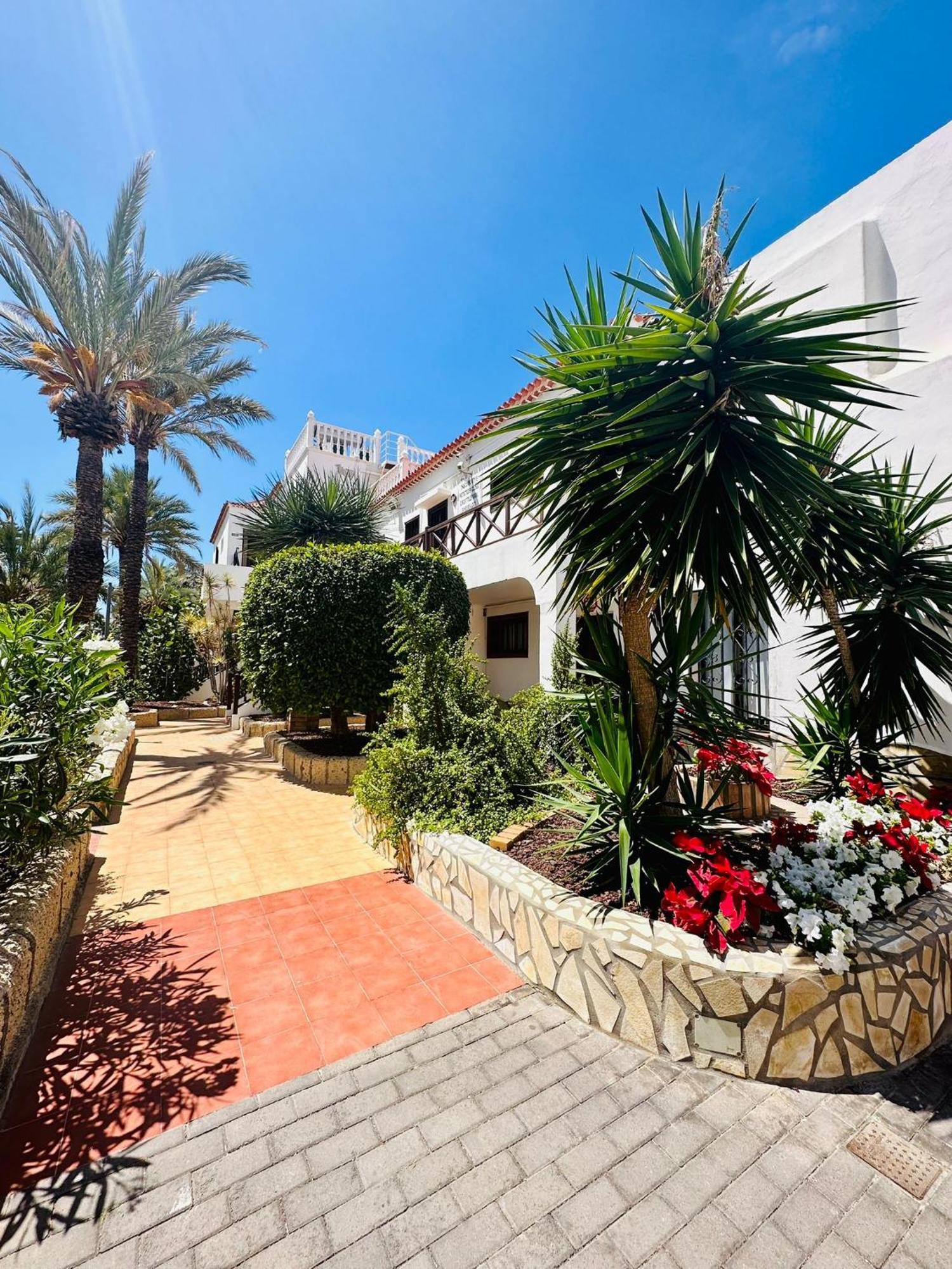 Sunny Sea View Apartment Center Of Las Americas Playa de las Americas  Exterior photo