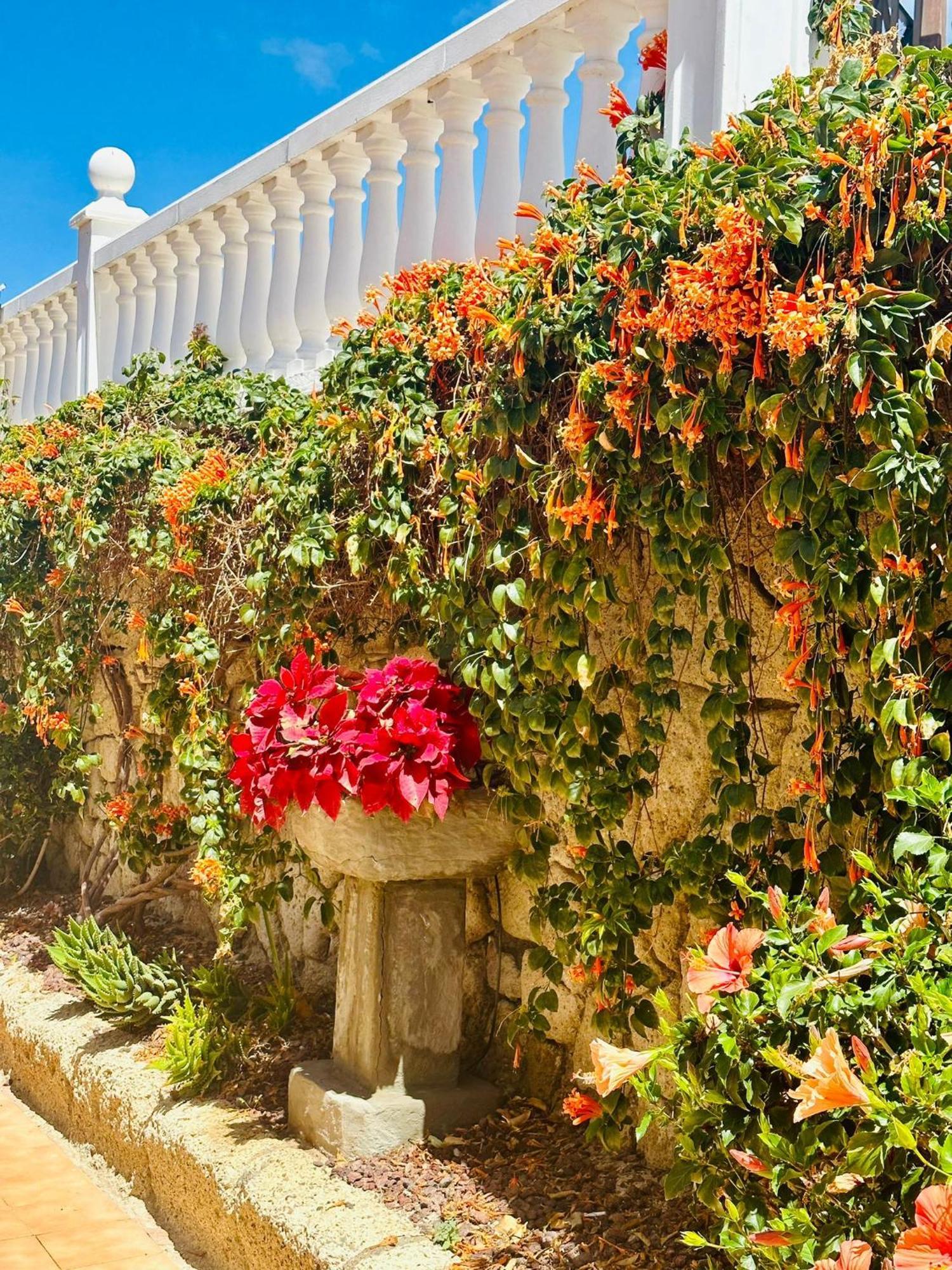 Sunny Sea View Apartment Center Of Las Americas Playa de las Americas  Exterior photo